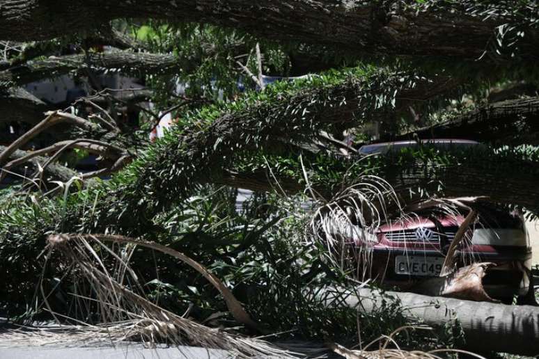 Rajadas fortes de vento resultaram na queda de centenas de árvores na Grande São Paulo