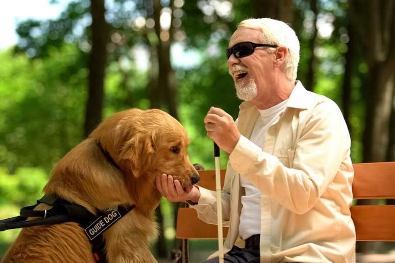 A defesa dos direitos das pessoas com deficiência visual está diretamente ligada à garantia de cidadania e dignidade 