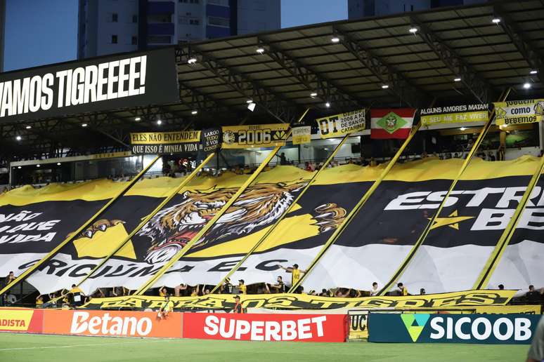 Torcida do Criciúma. 