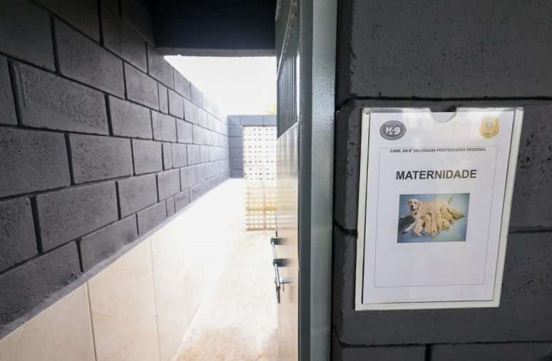 imagem meramente ilustrativa / Rafa Marin/ Ascom Polícia Penal / Porto Alegre 24 horas