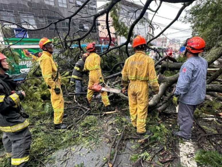 A tree fell on a bus stop in Guarulhos, killing one woman and injuring another.