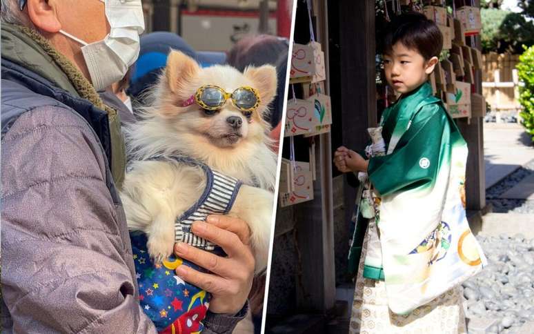 Os templos japoneses est&atilde;o recebendo cada vez mais c&atilde;es em rituais antes destinados &agrave;s crian&ccedil;as. /