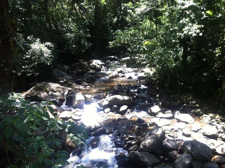Entre cachoeiras, mirantes e fazendas hist&oacute;ricas, Cachoeiras de Macacu se consolida como destino de ecoturismo no interior fluminense &ndash; Wikimedia Commons/TMbux