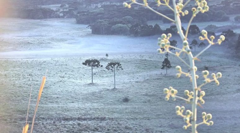 Geada e temperaturas baixas marcam amanhecer em SC