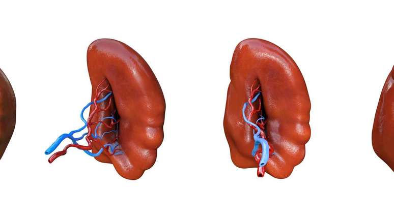 ba&ccedil;o -depositphotos.com / madrock24