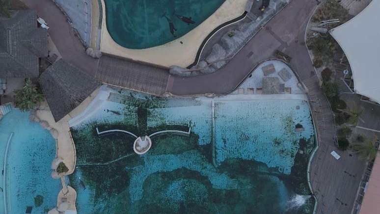 Os tanques est&atilde;o chegando ao final da sua "vida &uacute;til", segundo o Marineland