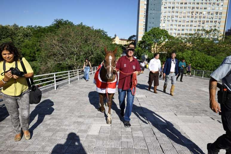 Foto mostra cavalo Caramelo sendo conduzido por tratador para ato do Estado.