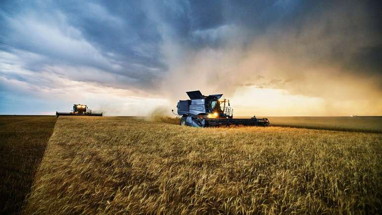 Dentre os nove grupos identit&aacute;rios perfilados na pesquisa, o agro representa 13% dos brasileiros