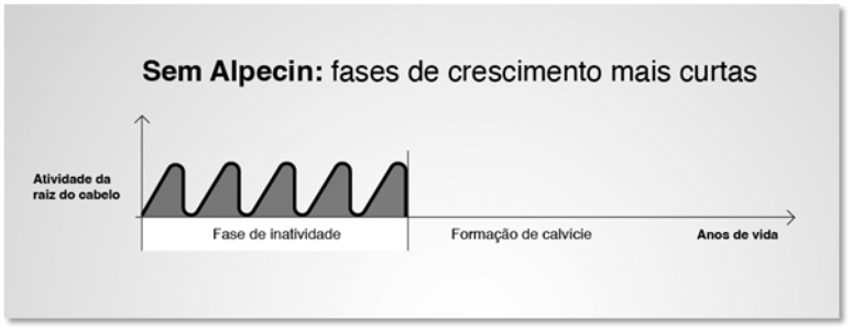 Imagem Refer&ecirc;ncia:  Comparativo 