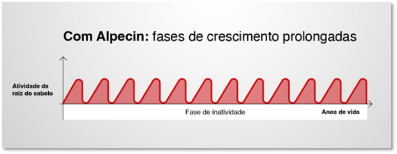 Imagem Refer&ecirc;ncia:  Comparativo 