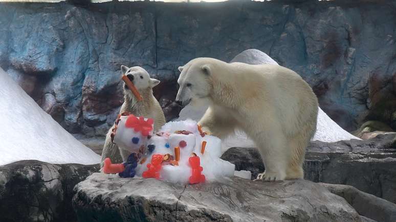 Nur foi apresentada em fevereiro deste ano no Aqu&aacute;rio de SP