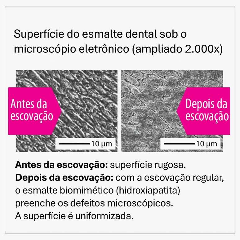Prova cient&iacute;fica do antes e depois da escova&ccedil;&atilde;o com Bioniq&reg; Repair vista ao microsc&oacute;pio