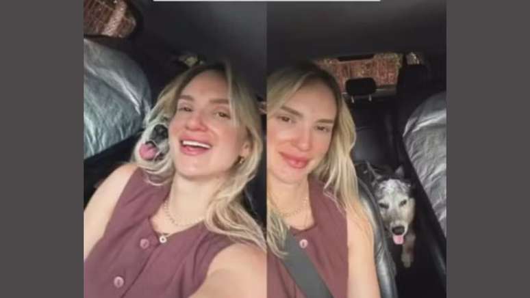Mariani Gambarini Vassoler fez publica&ccedil;&atilde;o em rede social enquanto iria para Iriri, no sul do Esp&iacute;rito Santo; cachorro sobreviveu ao acidente