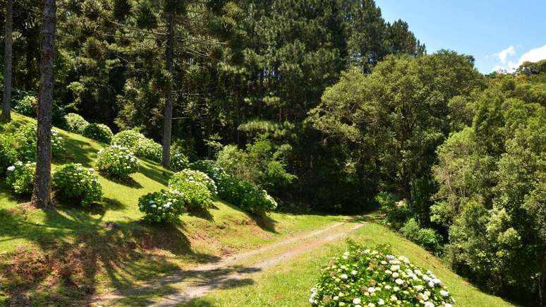 No Natal, a cidade se transforma com luzes, eventos e espet&aacute;culos, tornando-se um dos destinos mais procurados do sul do Brasil &ndash; depositphotos.com / alle2009