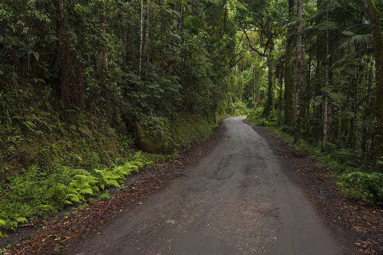 Boa gastronomia, pousadas aconchegantes e f&aacute;cil acesso pela Dutra completam o roteiro para quem busca descanso ou aventura &ndash; Wikimedia Commons/Alessandro Augusto Alves Pinto