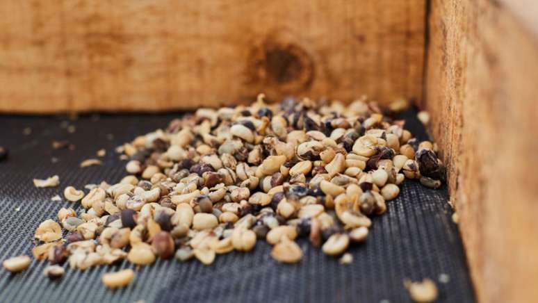 Quatro marcas tiveram irregularidades apontadas por testes laboratoriais