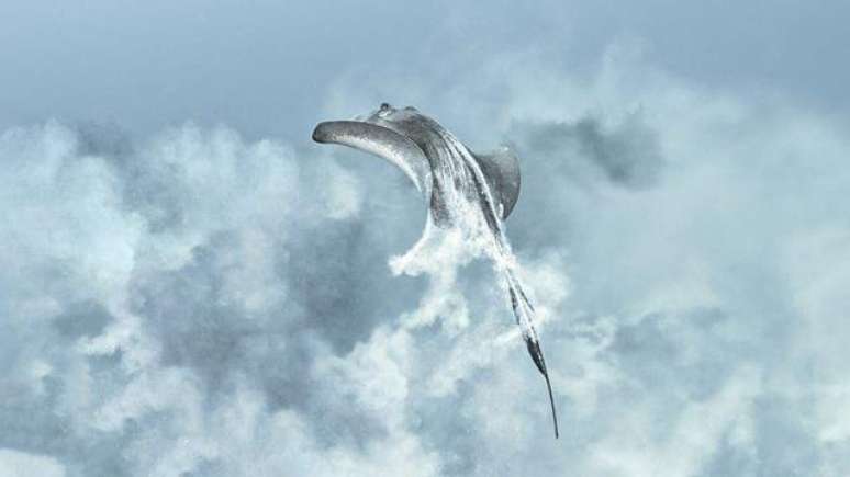 Arraias revolvem o fundo do mar, agitando a areia do leito do oceano