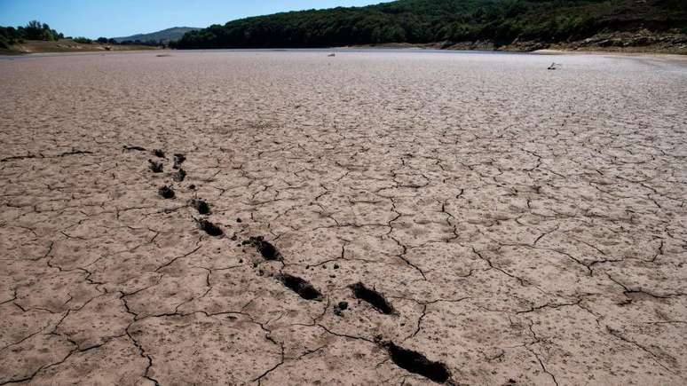 Cientistas afirmam que a intensidade e a frequ&ecirc;ncia das secas est&atilde;o aumentando de forma constante em muitas partes do mundo