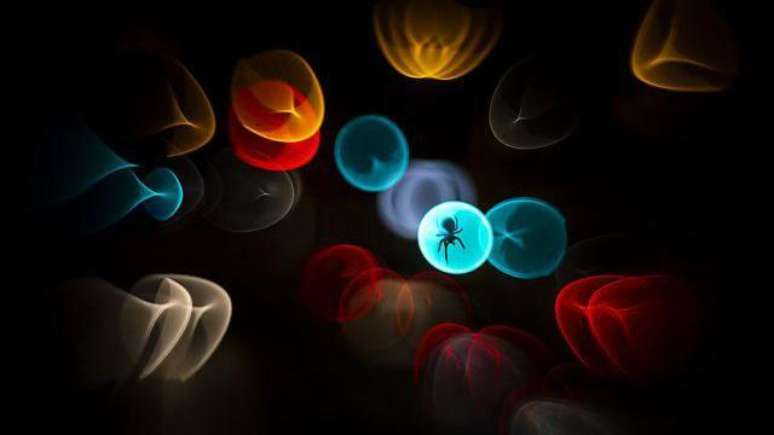 Aranha-tecel&atilde; capturada em um c&iacute;rculo de luz