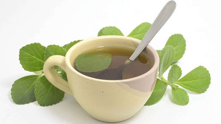 Usado de forma pontual e consciente, o boldo pode complementar cuidados digestivos leves, sem substituir orienta&ccedil;&atilde;o m&eacute;dica &ndash; depositphotos.com / vbacarin