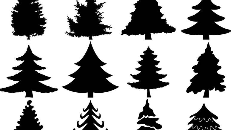 S&iacute;mbolo cultural em v&aacute;rias regi&otilde;es, o pinheiro faz parte do cotidiano, do paisagismo &agrave;s tradi&ccedil;&otilde;es de fim de ano &ndash; depositphotos.com / AntonMatyukha