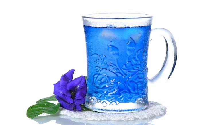 Considerada uma PANC, a ervilha-borboleta &eacute; usada como corante natural em bebidas, sobremesas e pratos criativos &ndash; depositphotos.com / norgallery