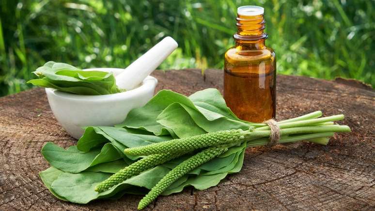 Suas propriedades expectorantes ajudam a aliviar tosse, secre&ccedil;&otilde;es e irrita&ccedil;&otilde;es da garganta &ndash; depositphotos.com / ChamilleWhite