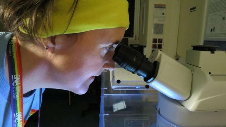 A professora Tara Spires-Jones prev&ecirc; que poder&aacute; haver desenvolvimentos revolucion&aacute;rios neste campo de estudos sobre Alzheimer