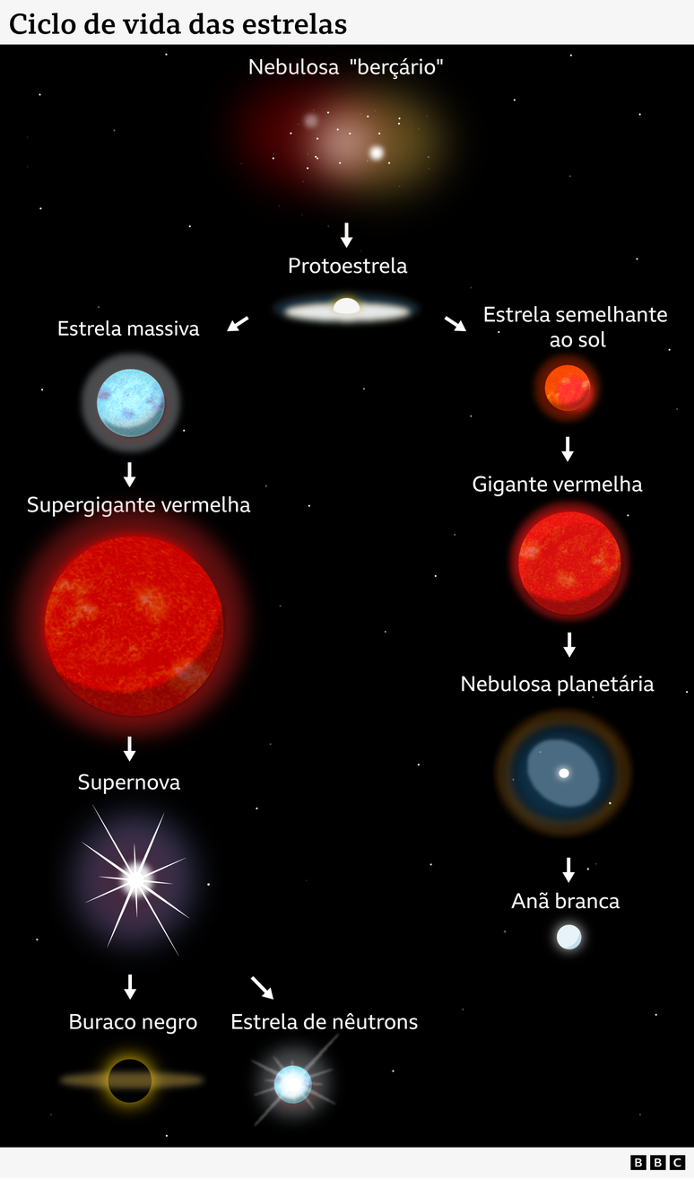 Um fluxograma ilustrando o ciclo de vida das estrelas: uma nebulosa de forma&ccedil;&atilde;o estelar produz uma protoestrela, que pode seguir um de dois caminhos. Caso se torne uma estrela massiva, esta se transformar&aacute; em uma supergigante vermelha, depois em uma supernova que levar&aacute; a um buraco negro ou a uma estrela de n&ecirc;utrons. Caso se torne uma estrela semelhante ao Sol, esta se transformar&aacute; em uma gigante vermelha, depois em uma nebulosa planet&aacute;ria que levar&aacute; a uma an&atilde; branca.
