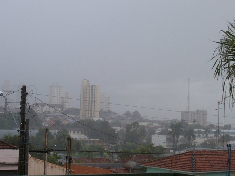 Lins – Reproduction