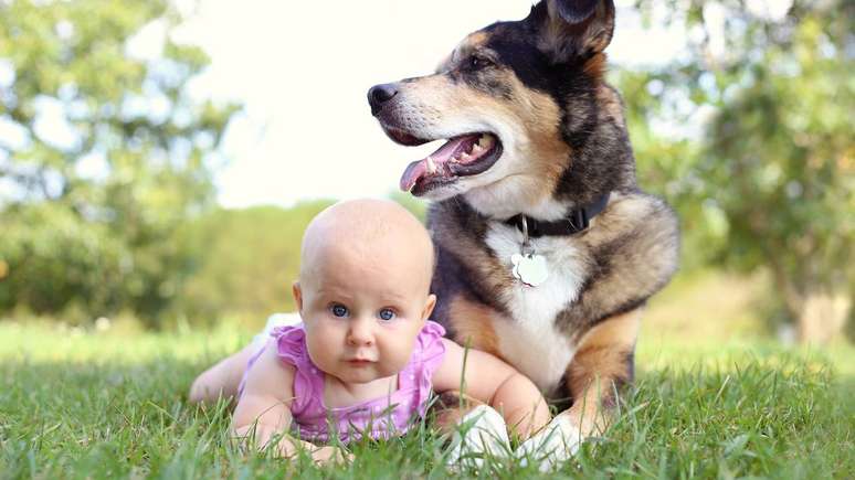 Conviv&ecirc;ncia segura entre c&atilde;es e beb&ecirc;s depende de supervis&atilde;o, socializa&ccedil;&atilde;o e preparo do ambiente, apontam especialistas &ndash; depositphotos.com / Christin_Lola