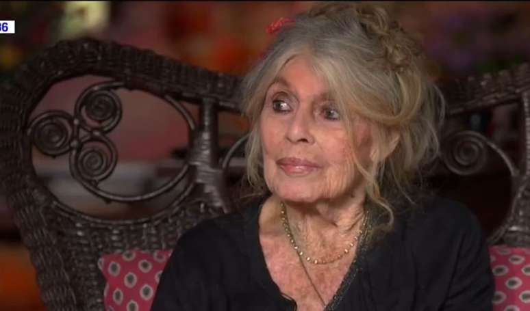 బ్రిగిట్టే బార్డోట్ యొక్క ఏకైక సంతానం అతని ప్రసిద్ధ తల్లికి ఎందుకు దూరంగా పెరిగింది? ఆర్టిస్ట్ మాతృత్వం గురించి బలమైన ప్రకటన చేశారు.