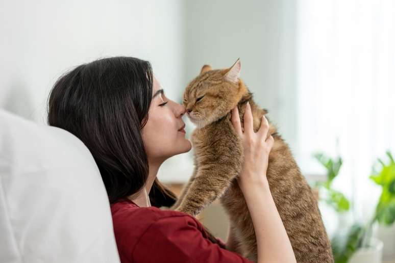 Socializar o gato traz benef&iacute;cios tanto para o felino quanto para o tutor