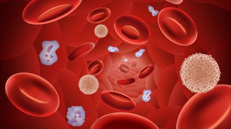 Jejum pode estimular a autofagia, mas o processo ocorre continuamente e n&atilde;o depende de ficar dias sem comer &ndash; depositphotos.com / tigatelu