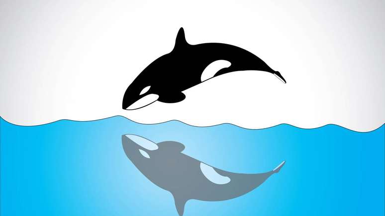 Pesquisadores investigam se essas associa&ccedil;&otilde;es indicam coopera&ccedil;&atilde;o entre esp&eacute;cies &ndash; depositphotos.com / harishmarnad