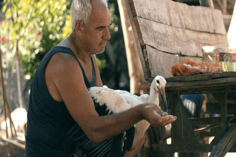 &ldquo;O Conto de Silyan&rdquo; retrata uma rela&ccedil;&atilde;o inesperada entre um agricultor solit&aacute;rio e uma cegonha ferida, explorando humanidade, resili&ecirc;ncia e natureza 