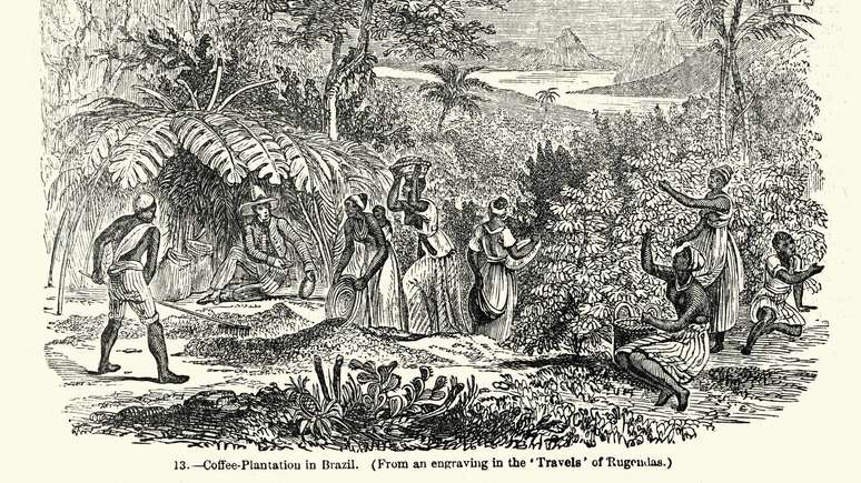 Gravura mostra escravizados em planta&ccedil;&atilde;o de caf&eacute; no Brasil; embora pa&iacute;s fosse escravocrata at&eacute; 1888, condi&ccedil;&otilde;es espec&iacute;ficas daqui incomodaram imigrantes americanos