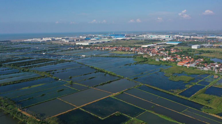 Conservacionistas como Wasito alertam que a Zona Econ&ocirc;mica Especial de Kendal, um grande p&oacute;lo industrial apoiado pelo governo, pode causar danos &agrave; costa norte de Java