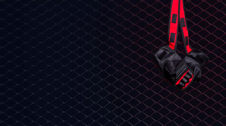 Conhecimento e estrat&eacute;gia s&atilde;o importantes para efetuar as apostas UFC