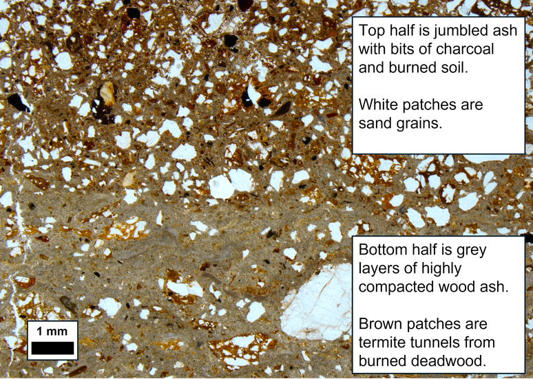 Uma mistura de cores cinza, marrom, branco e preto mostrando como o solo e as cinzas se parecem sob um microsc&oacute;pio.