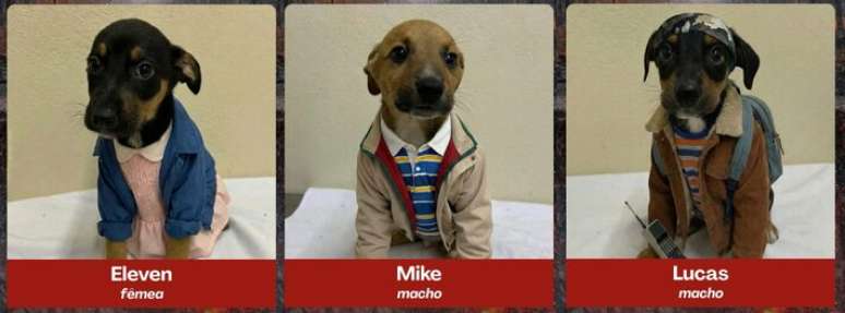 Os joguinhos Eleven, Mike e Lucas