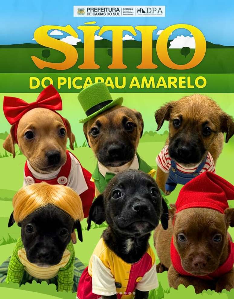 Os filhotes tamb&eacute;m j&aacute; foram personagens do S&iacute;tio Picapau Amarelo; todos foram adotados