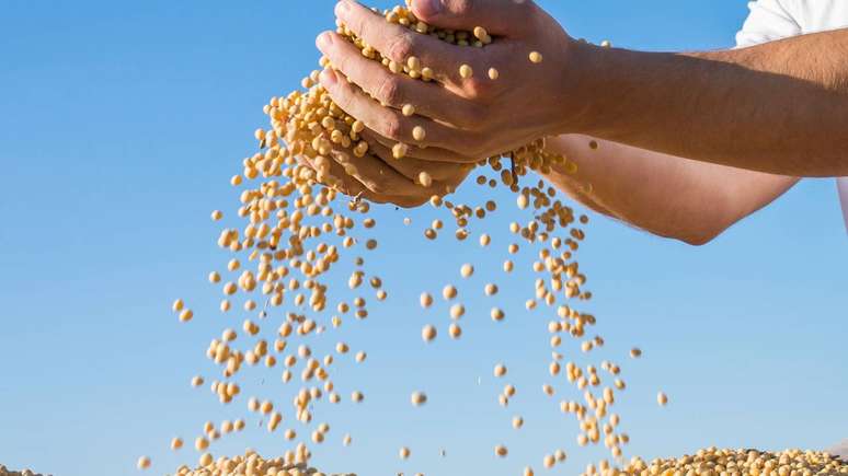 Soja &ndash; depositphotos.com / fotokostic