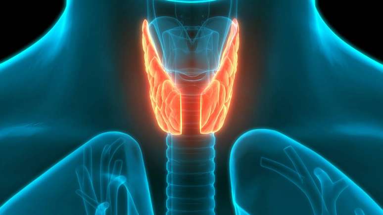 Dessa forma, a retirada da tireoide se transforma em uma condi&ccedil;&atilde;o control&aacute;vel do dia a dia &ndash;