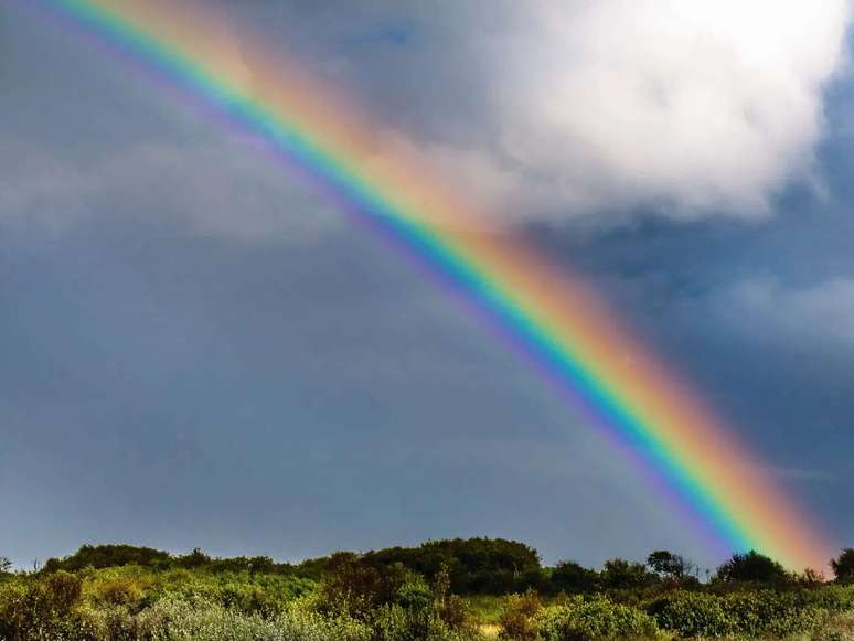 Cr&eacute;ditos &ndash; Reprodu&ccedil;&atilde;o