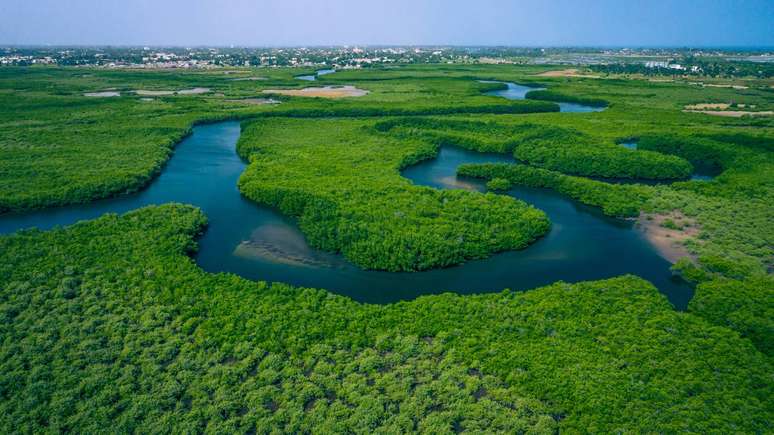 Rio G&acirc;mbia &ndash; depositphotos.com / Curioso_Travel_Photography