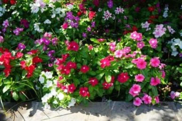 crystaldream/Shutterstock