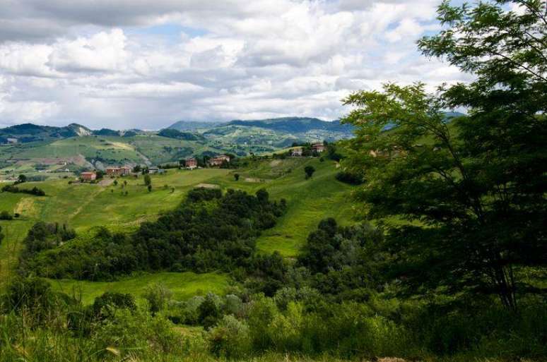 Um cientista comparou os resultados do intestino de Hugh Pym com os de pessoas que vivem na regi&atilde;o da Em&iacute;lia-Romanha, no norte da It&aacute;lia, &aacute;reas conhecidas pelo ar puro
