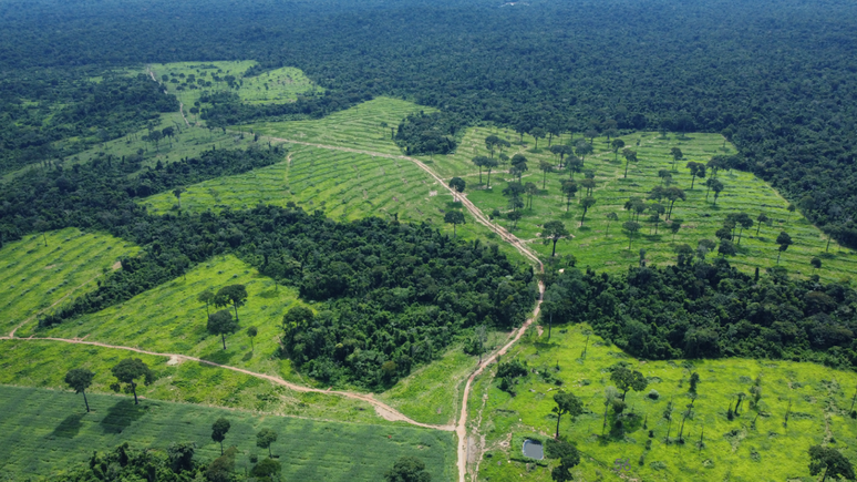 Fonseca reconhece que recuperar o solo degradado, como nesta fazenda, custa caro