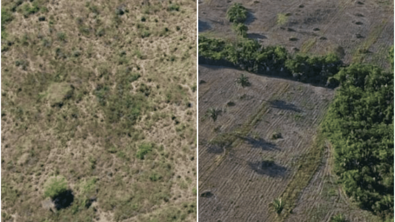 Uma das fazendas de Fonseca antes e durante o trabalho de recupera&ccedil;&atilde;o